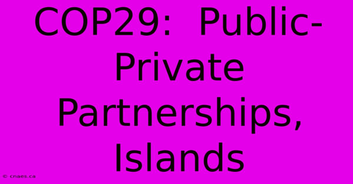 COP29:  Public-Private Partnerships, Islands 