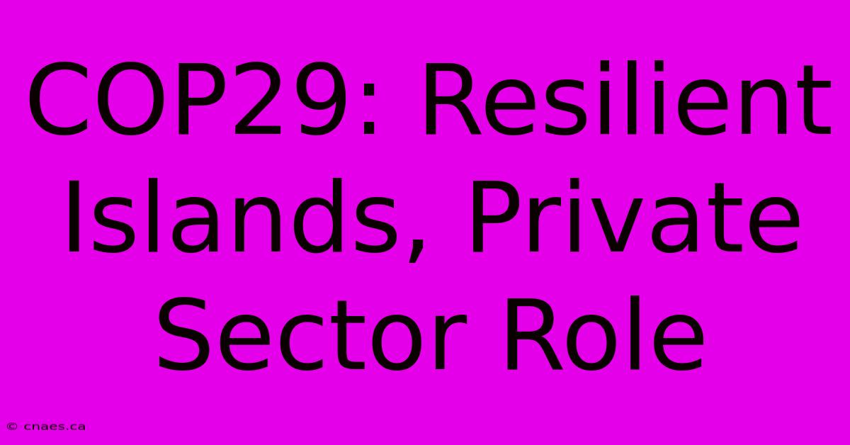 COP29: Resilient Islands, Private Sector Role