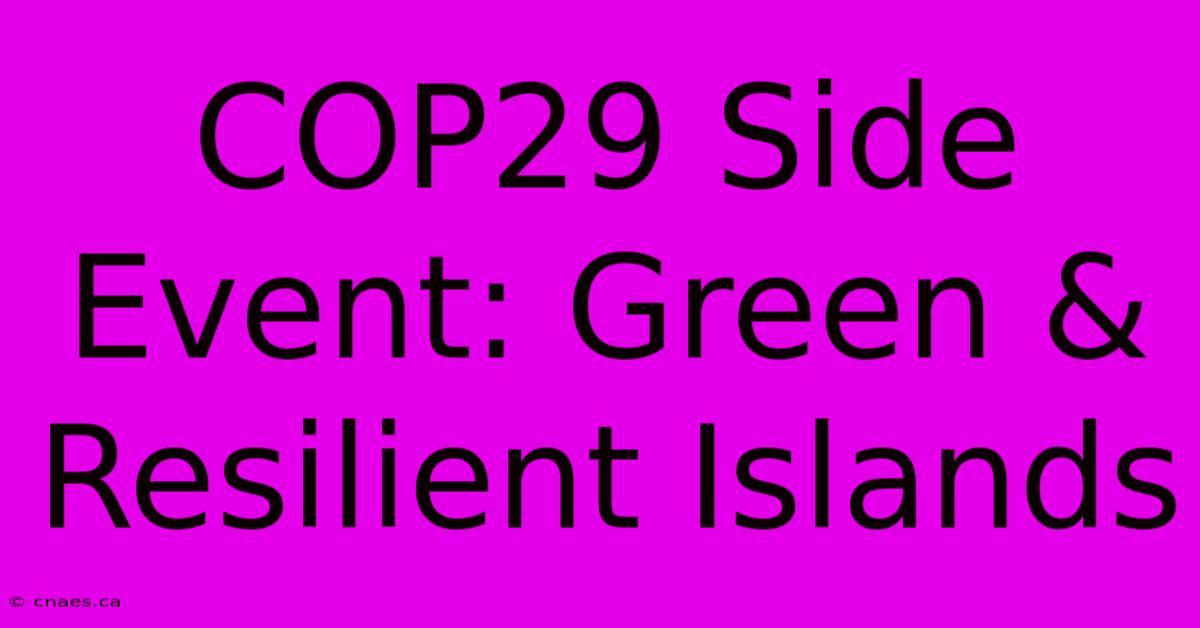 COP29 Side Event: Green & Resilient Islands