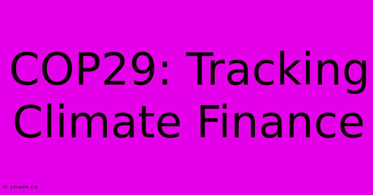 COP29: Tracking Climate Finance