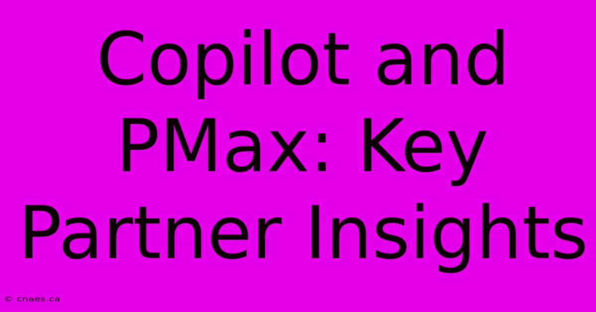 Copilot And PMax: Key Partner Insights