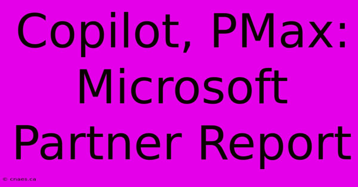 Copilot, PMax: Microsoft Partner Report