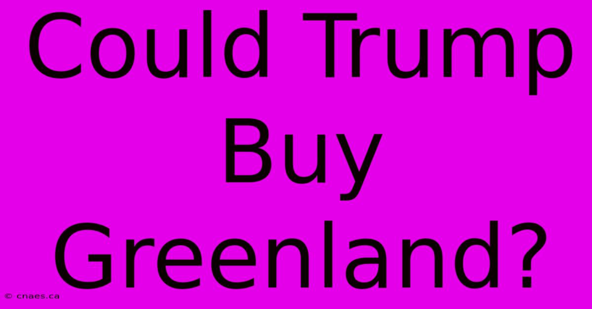 Could Trump Buy Greenland?