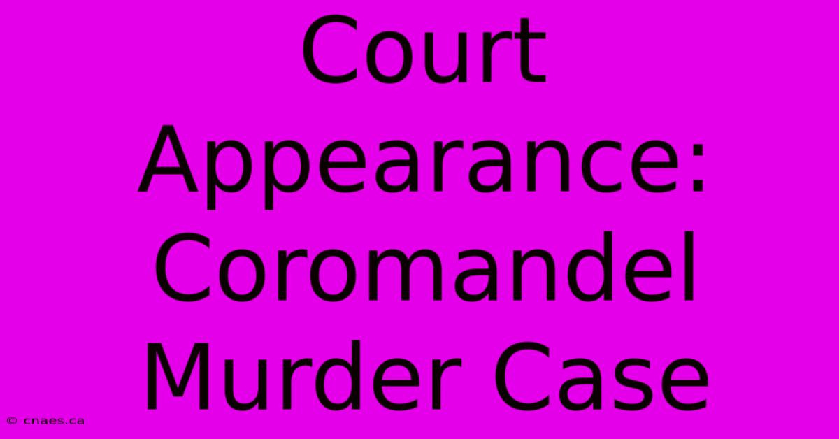 Court Appearance: Coromandel Murder Case