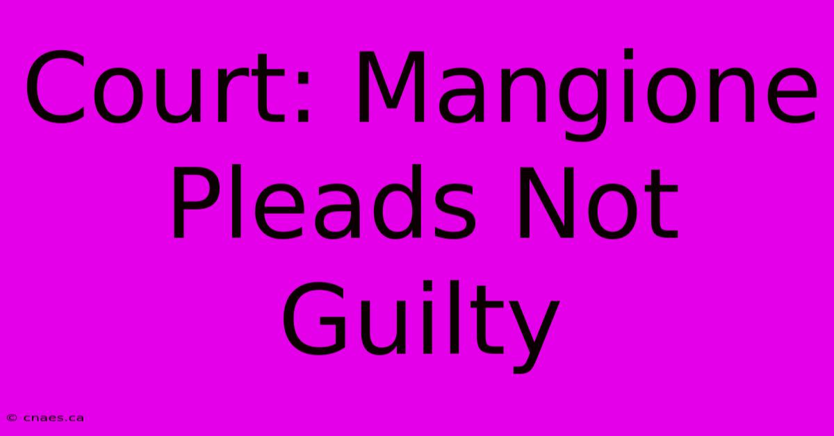 Court: Mangione Pleads Not Guilty