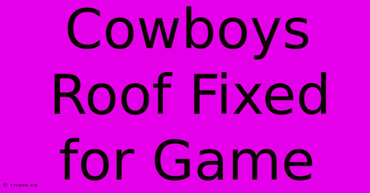 Cowboys Roof Fixed For Game