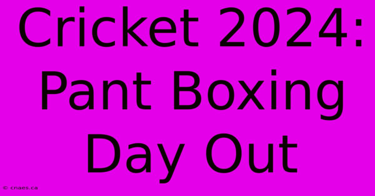 Cricket 2024: Pant Boxing Day Out