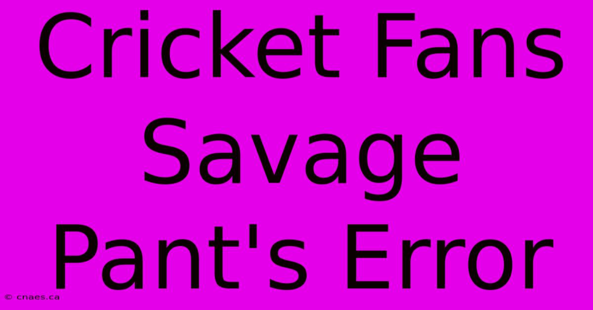 Cricket Fans Savage Pant's Error