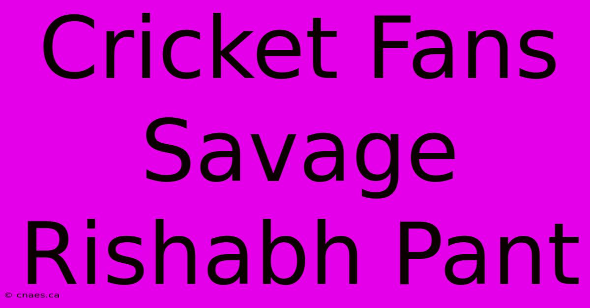 Cricket Fans Savage Rishabh Pant