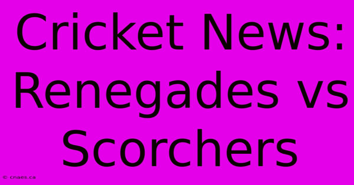 Cricket News: Renegades Vs Scorchers