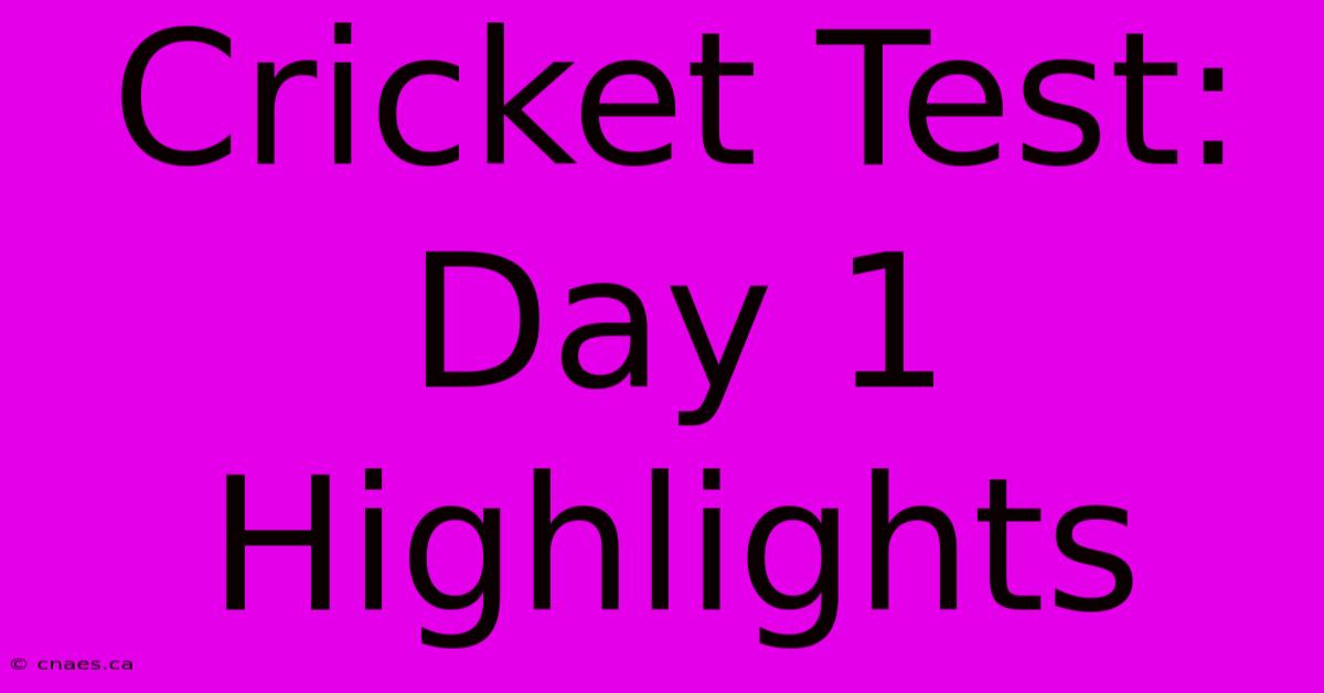 Cricket Test: Day 1 Highlights