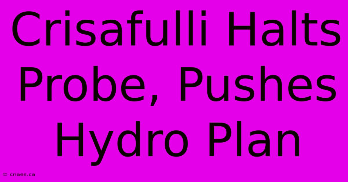 Crisafulli Halts Probe, Pushes Hydro Plan