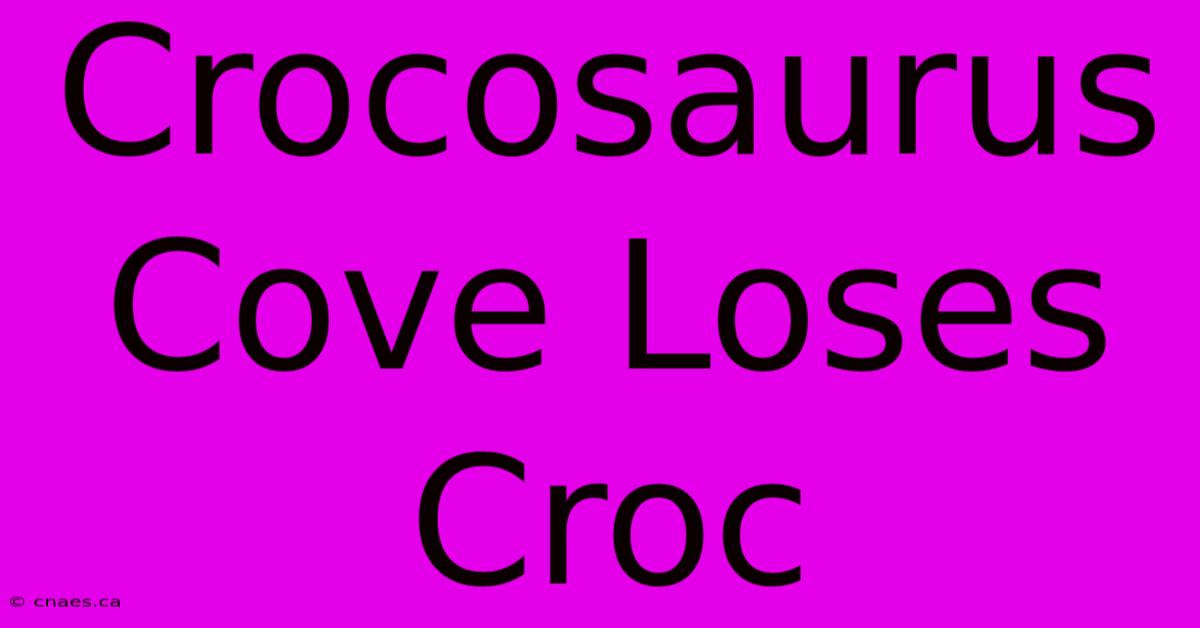 Crocosaurus Cove Loses Croc