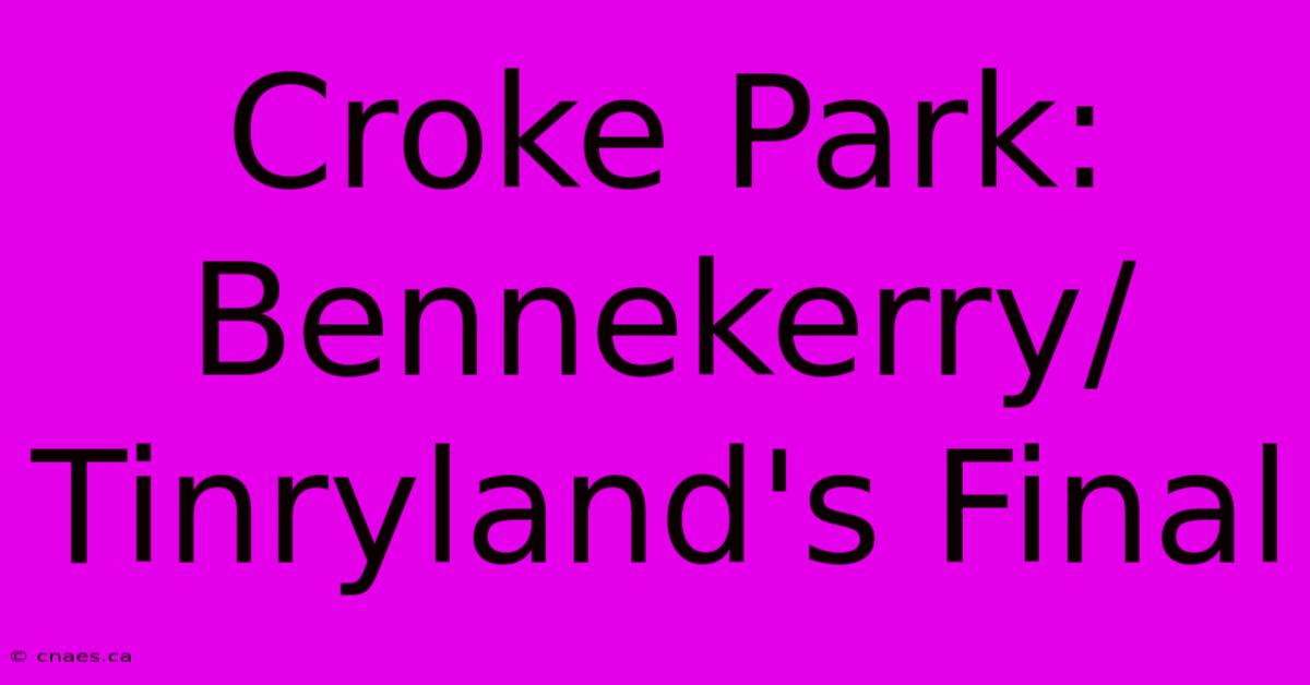 Croke Park: Bennekerry/Tinryland's Final