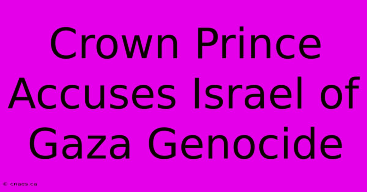 Crown Prince Accuses Israel Of Gaza Genocide