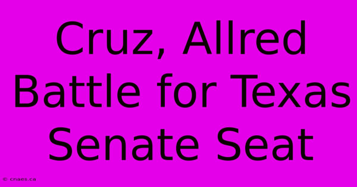 Cruz, Allred Battle For Texas Senate Seat