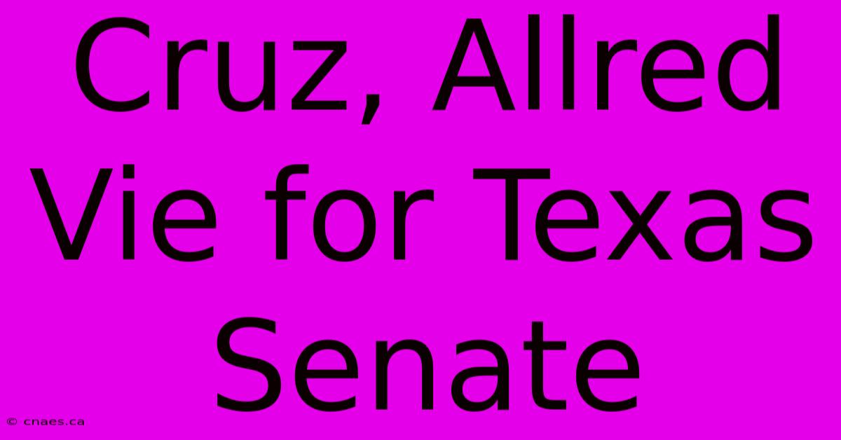 Cruz, Allred Vie For Texas Senate 