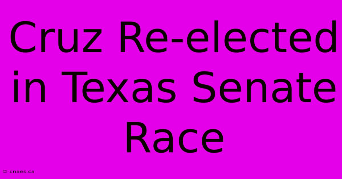 Cruz Re-elected In Texas Senate Race