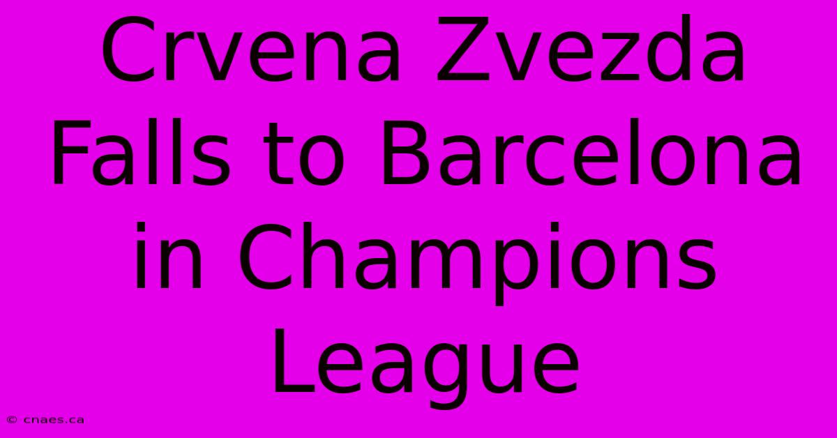 Crvena Zvezda Falls To Barcelona In Champions League