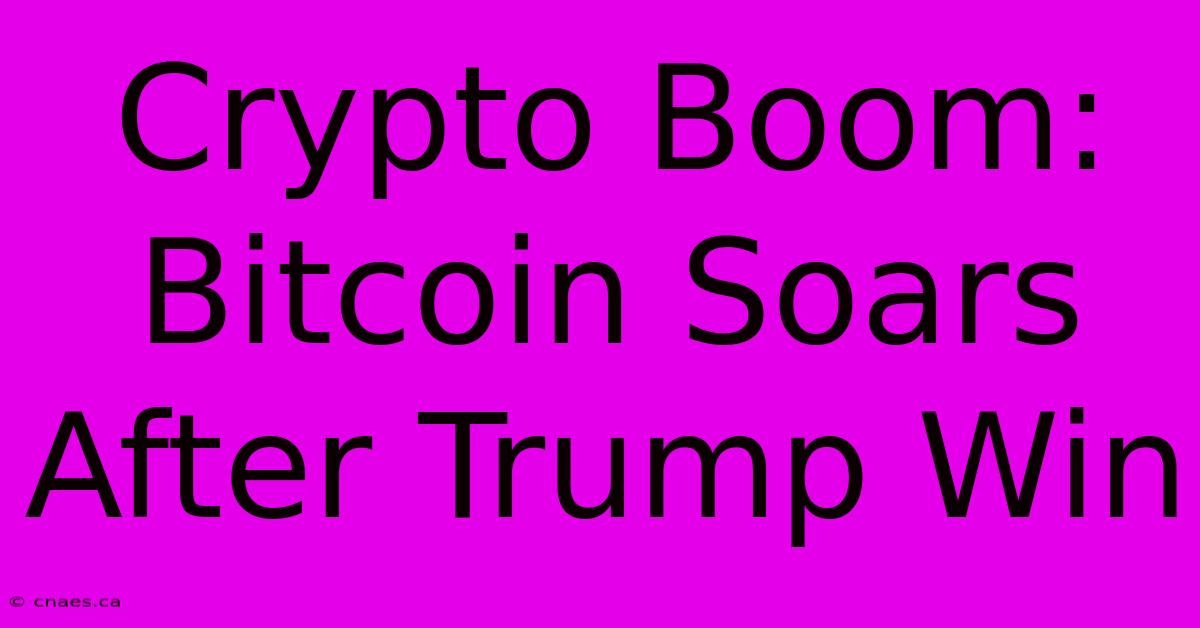 Crypto Boom: Bitcoin Soars After Trump Win