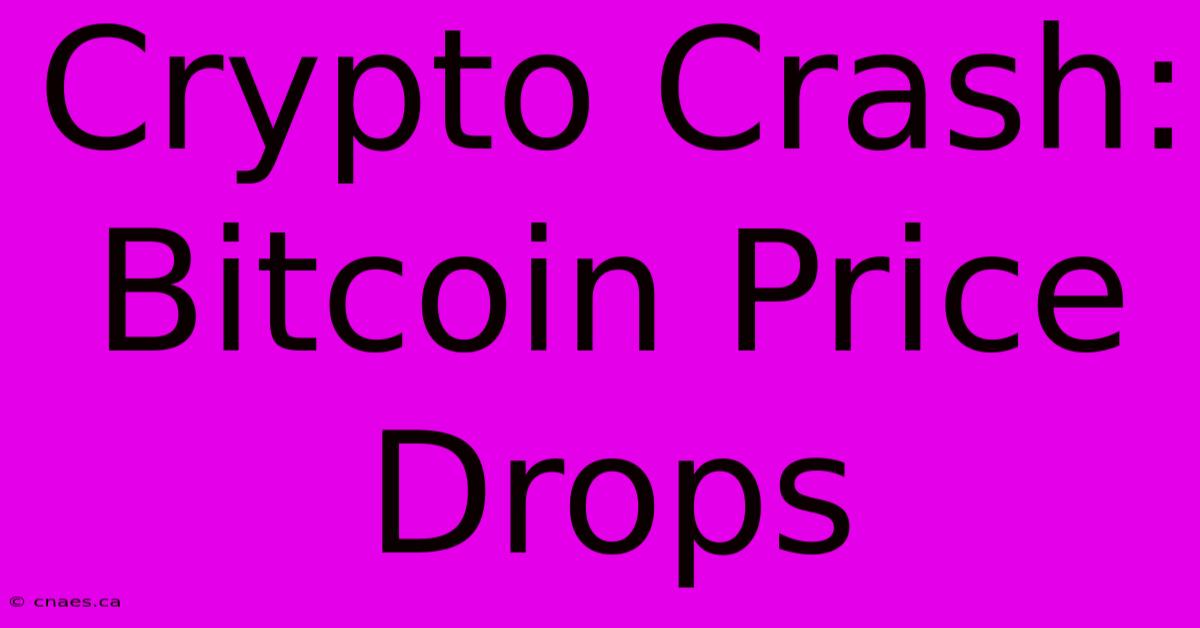 Crypto Crash: Bitcoin Price Drops