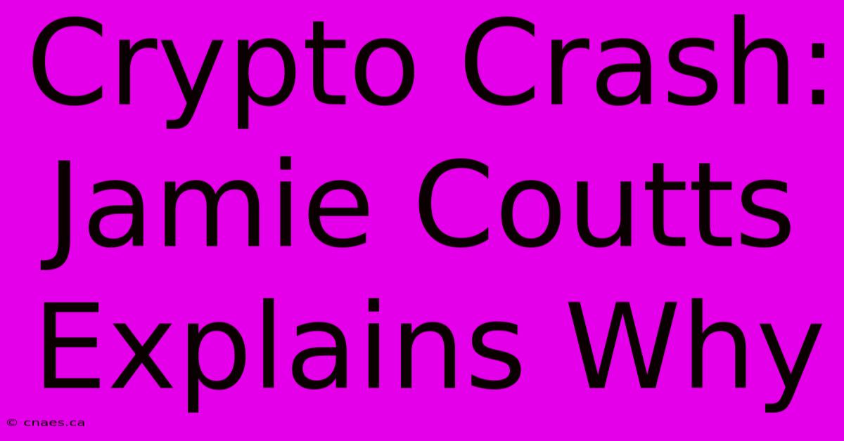 Crypto Crash: Jamie Coutts Explains Why