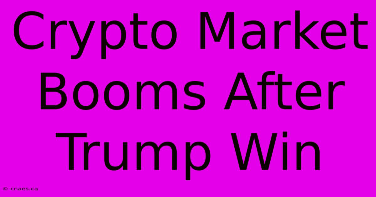 Crypto Market Booms After Trump Win