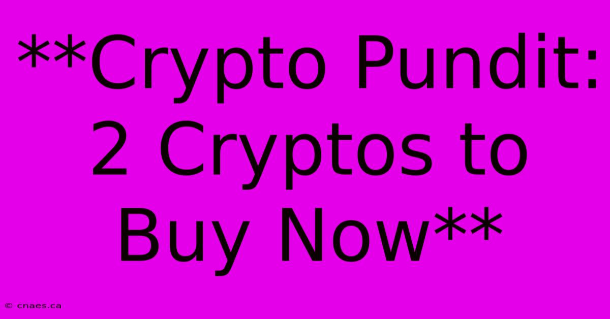 **Crypto Pundit: 2 Cryptos To Buy Now**