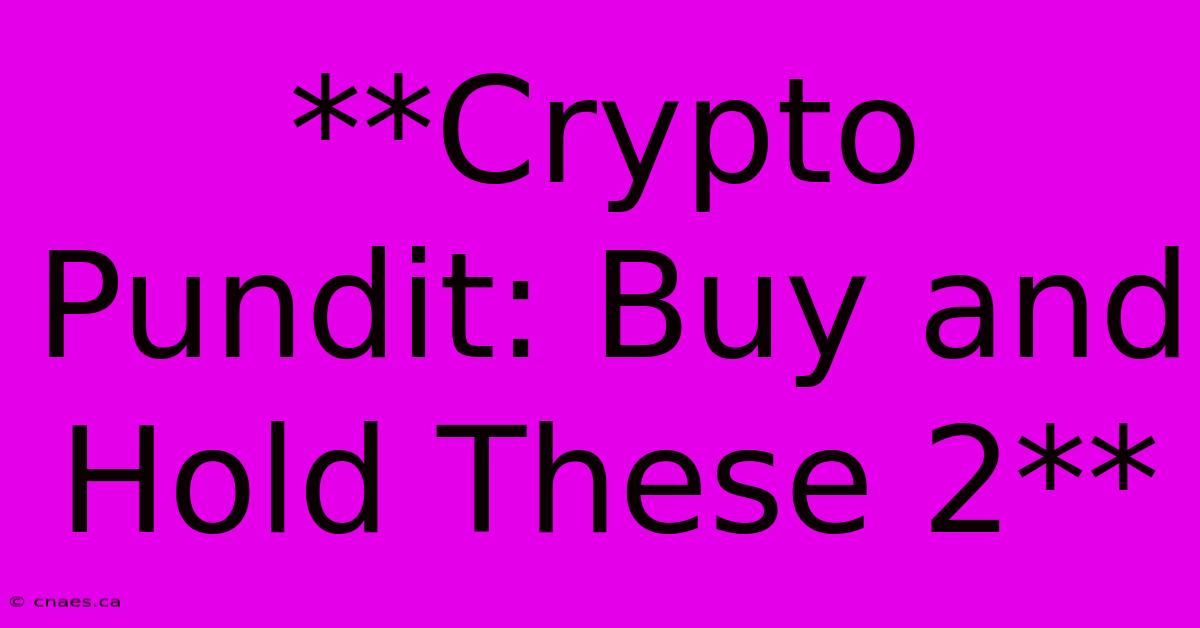 **Crypto Pundit: Buy And Hold These 2**