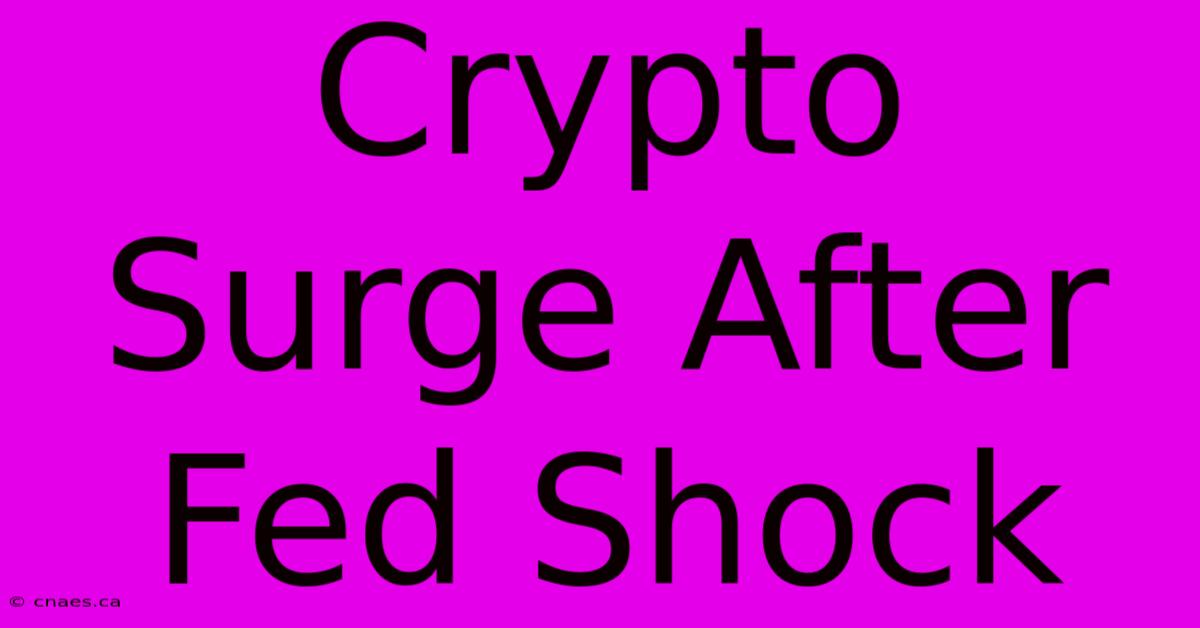 Crypto Surge After Fed Shock