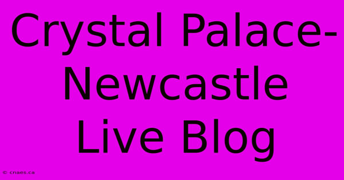 Crystal Palace-Newcastle Live Blog