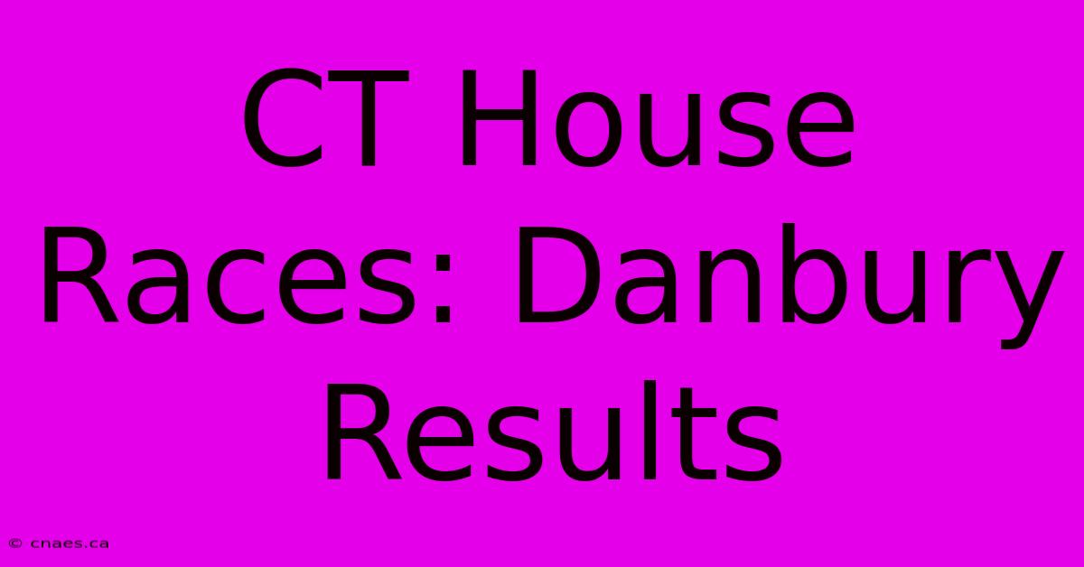 CT House Races: Danbury Results