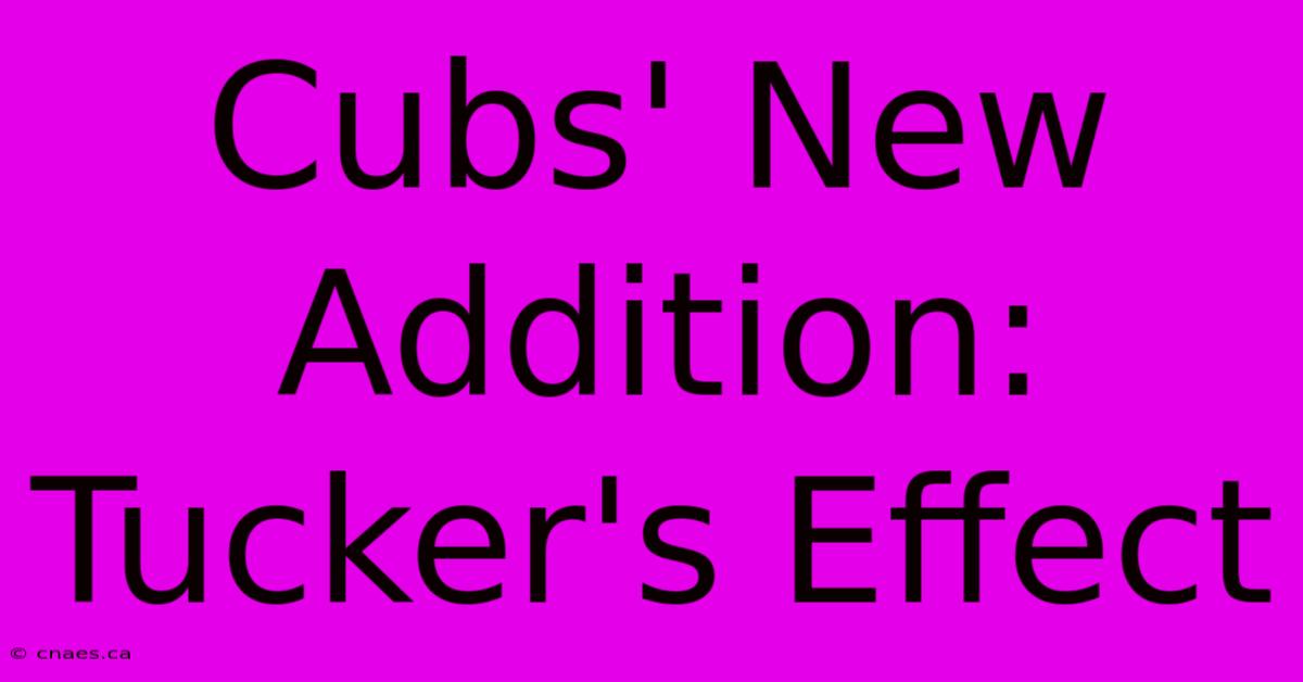 Cubs' New Addition: Tucker's Effect