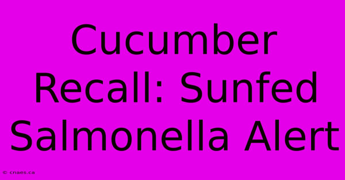 Cucumber Recall: Sunfed Salmonella Alert