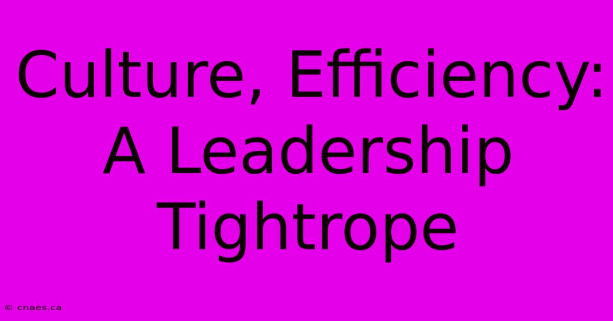 Culture, Efficiency: A Leadership Tightrope