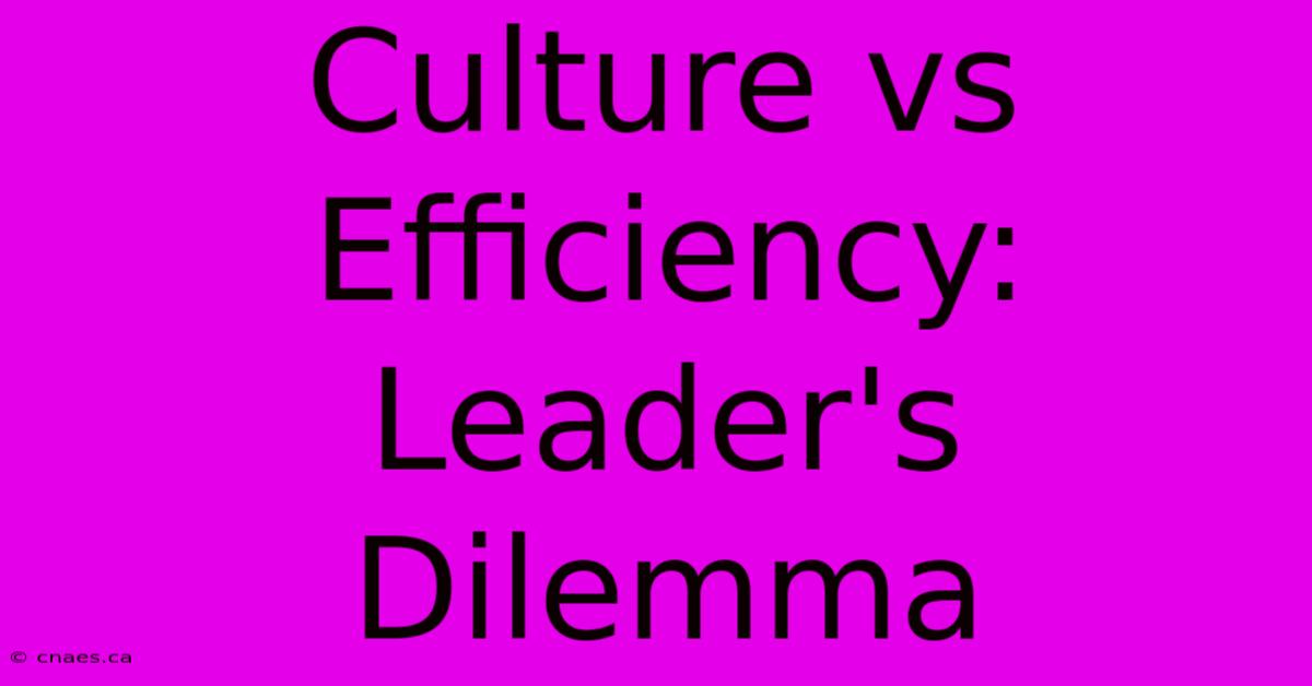 Culture Vs Efficiency: Leader's Dilemma