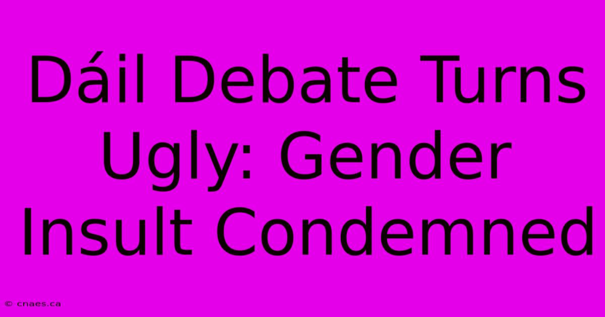 Dáil Debate Turns Ugly: Gender Insult Condemned