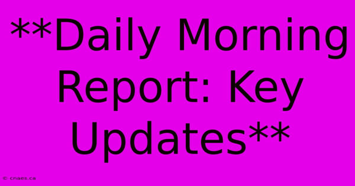 **Daily Morning Report: Key Updates**