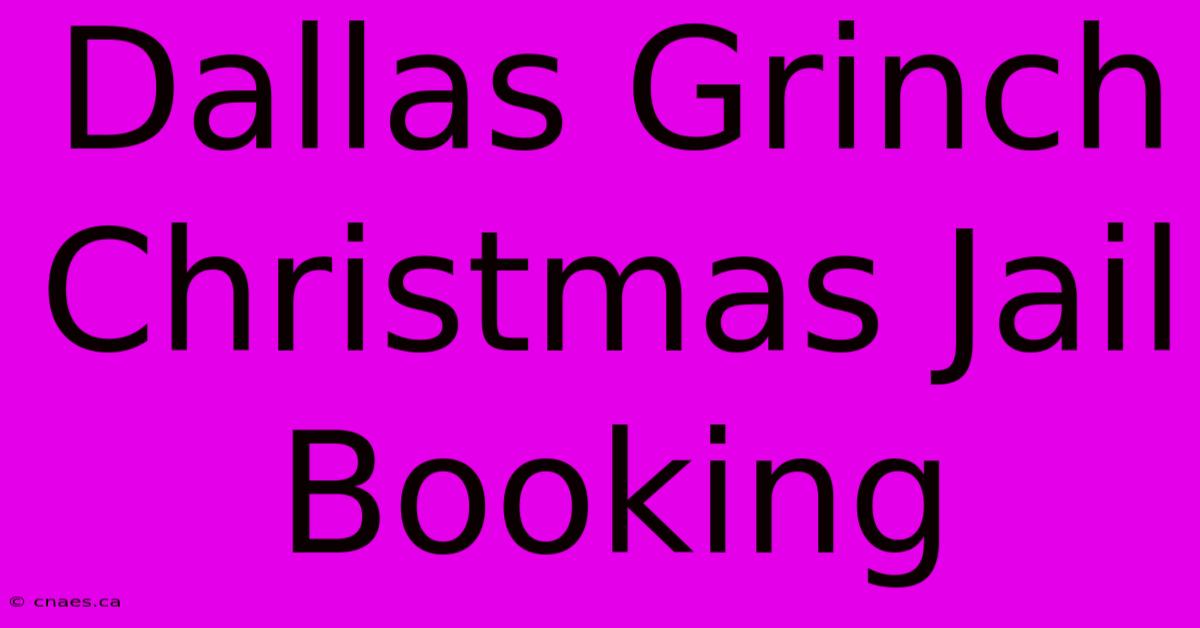 Dallas Grinch Christmas Jail Booking