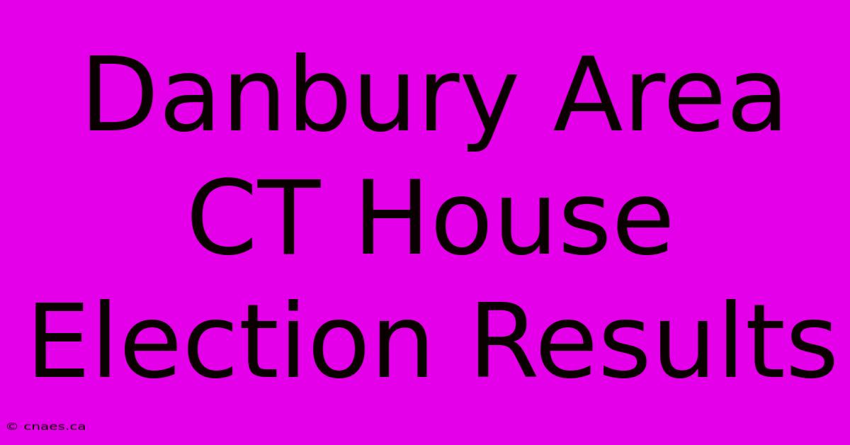 Danbury Area CT House Election Results