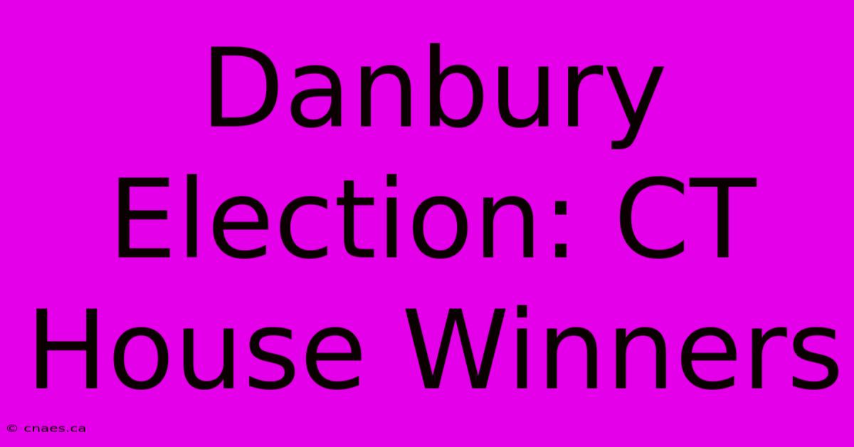 Danbury Election: CT House Winners