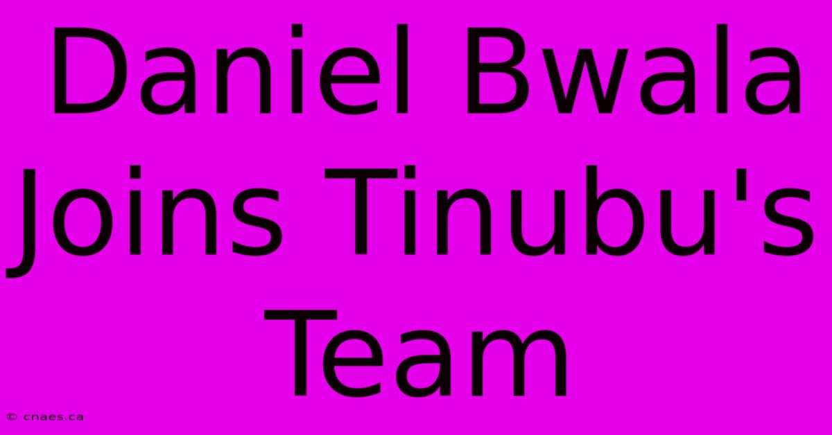 Daniel Bwala Joins Tinubu's Team