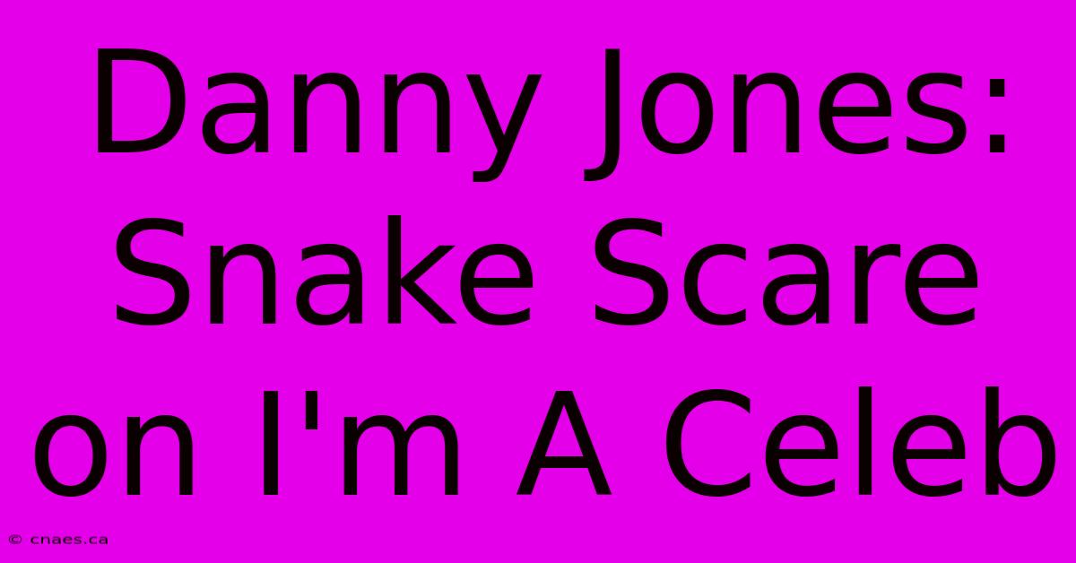 Danny Jones: Snake Scare On I'm A Celeb