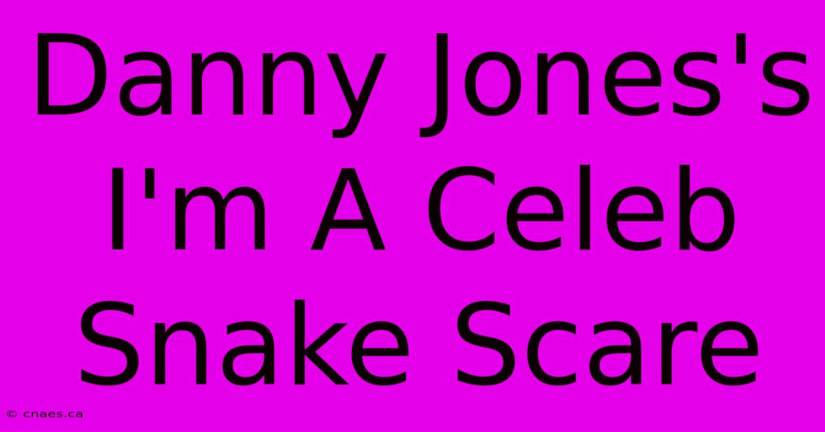 Danny Jones's I'm A Celeb Snake Scare