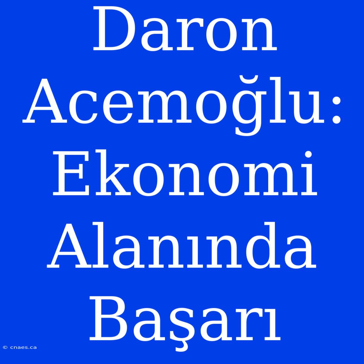 Daron Acemoğlu: Ekonomi Alanında Başarı