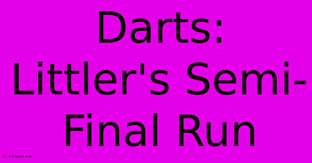 Darts: Littler's Semi-Final Run