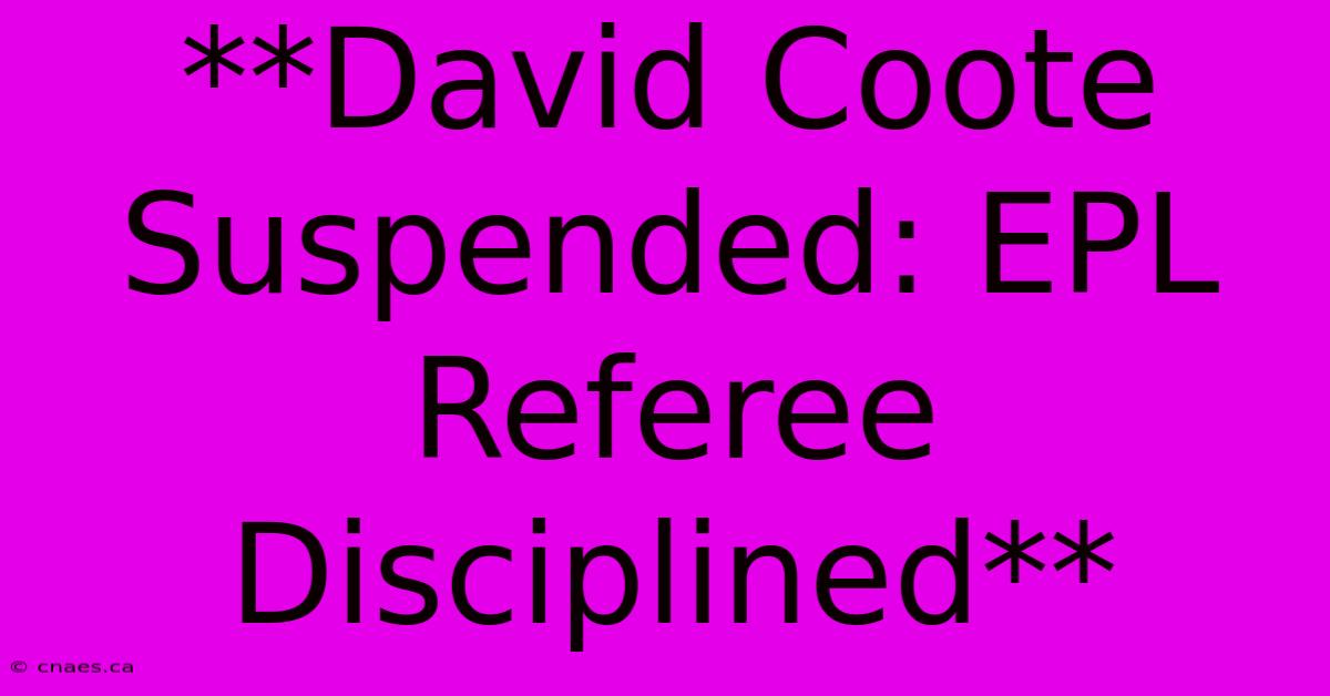 **David Coote Suspended: EPL Referee Disciplined** 