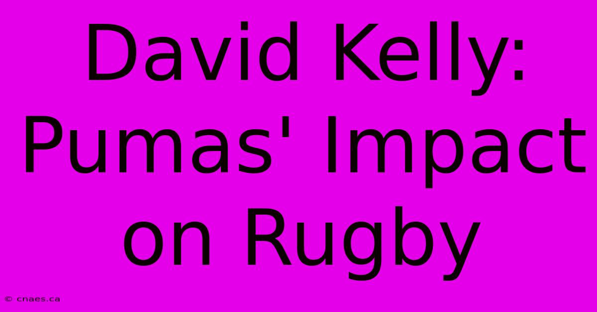 David Kelly: Pumas' Impact On Rugby