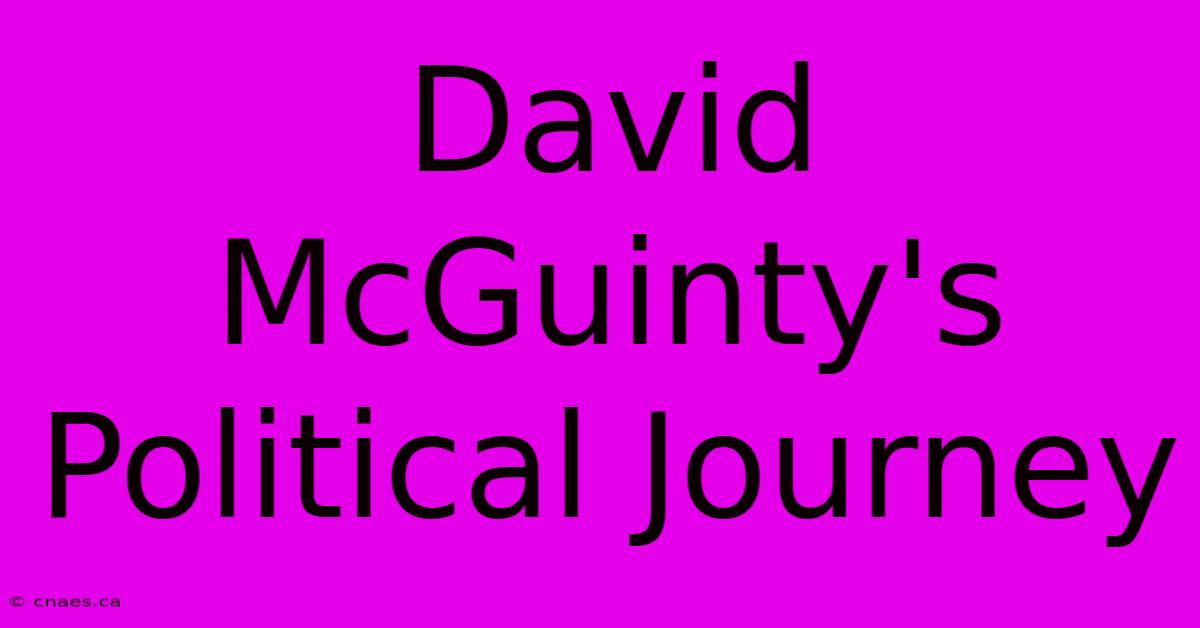 David McGuinty's Political Journey