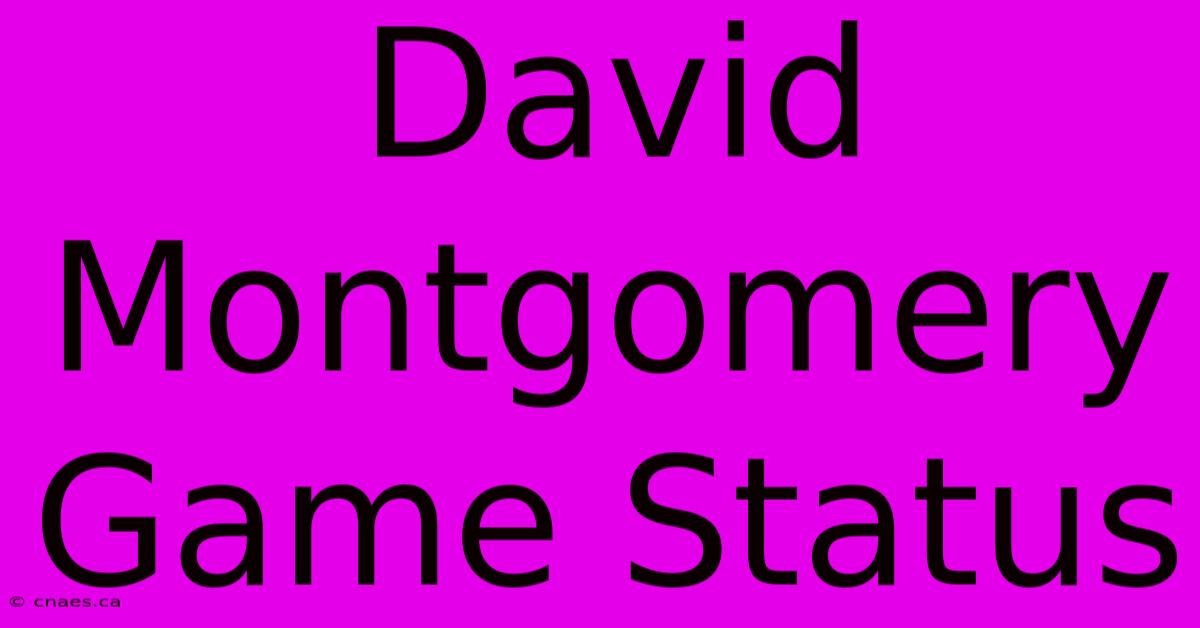 David Montgomery Game Status